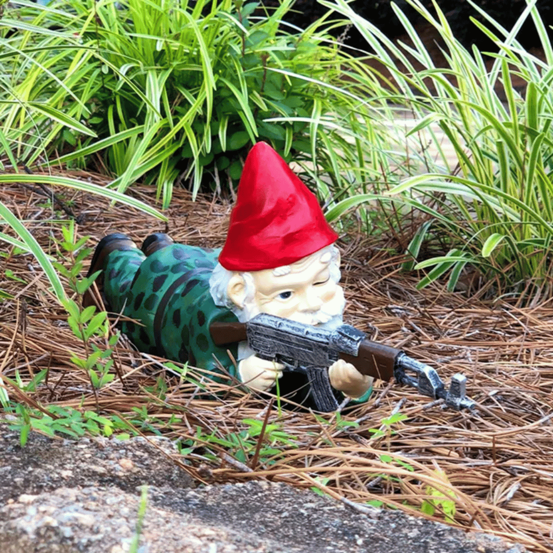 The Gnomefront Warriors™