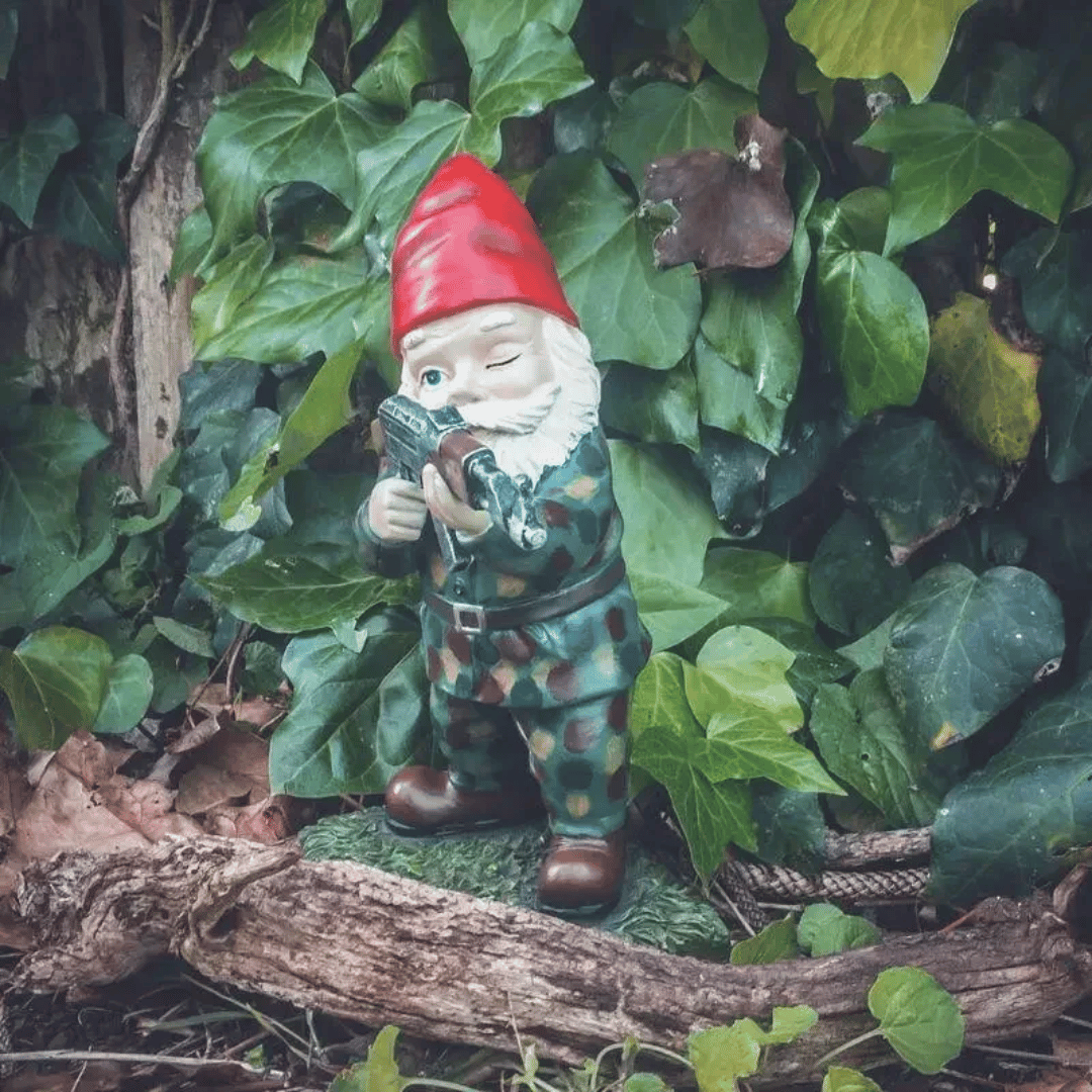 The Gnomefront Warriors™