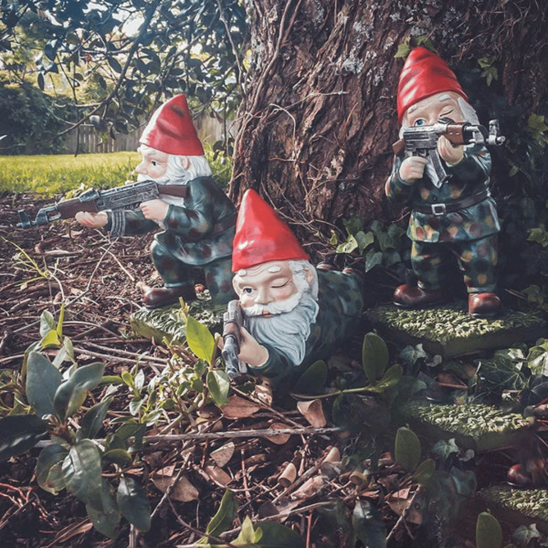 The Gnomefront Warriors™