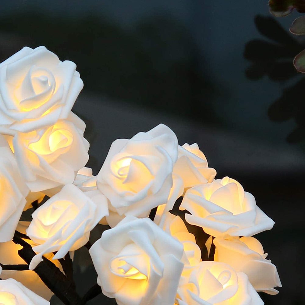 String of white LED rose lights against a dark background