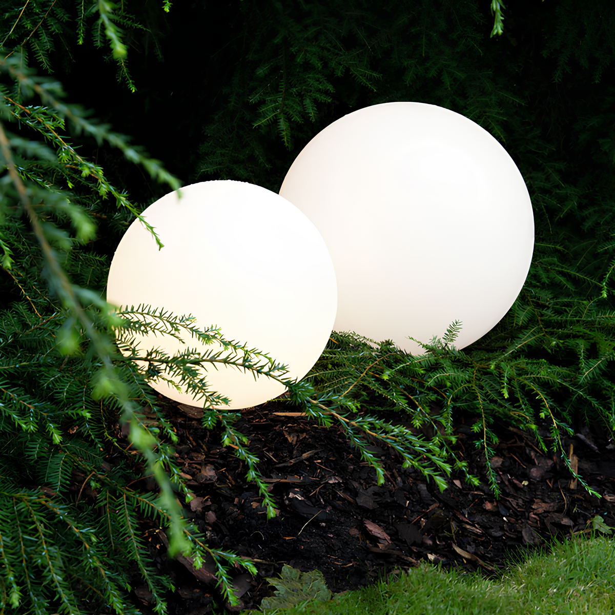 Two spherical white lights nestled among green foliage