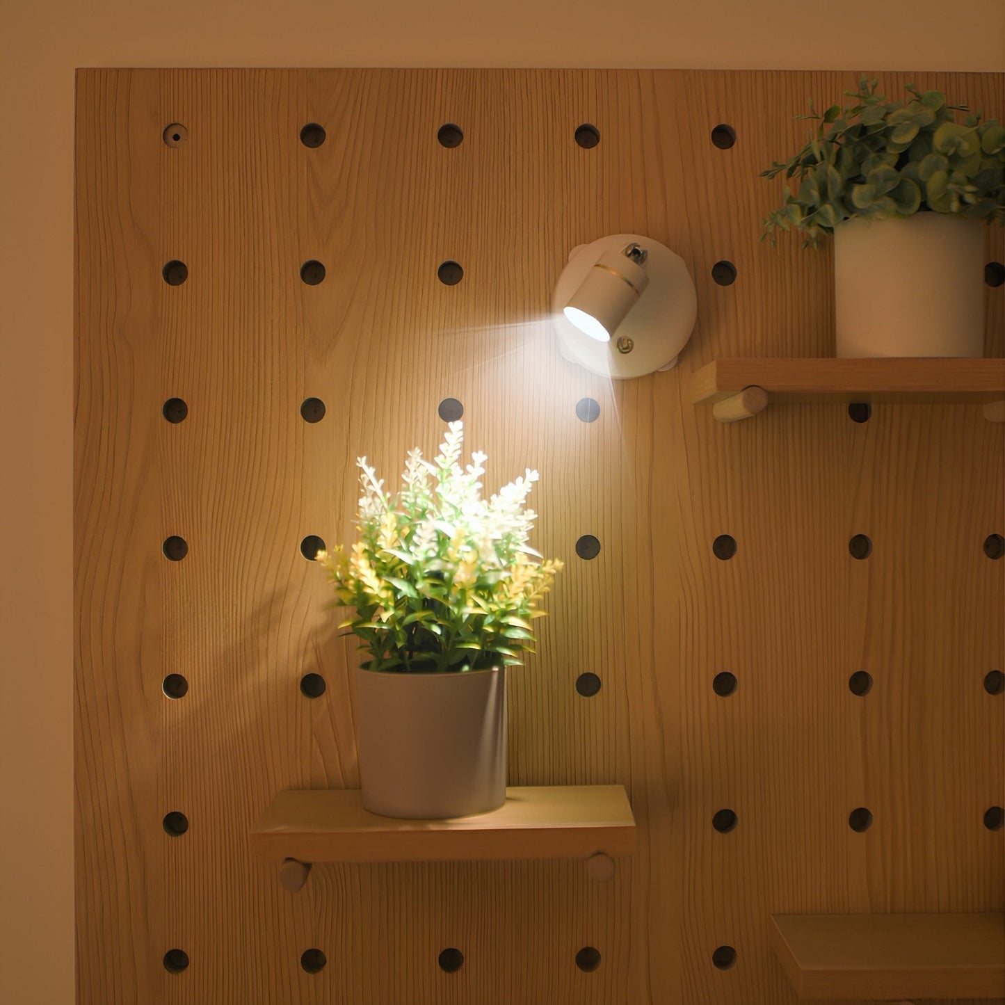 Pegboard wall with shelves, plants, and a light fixture.