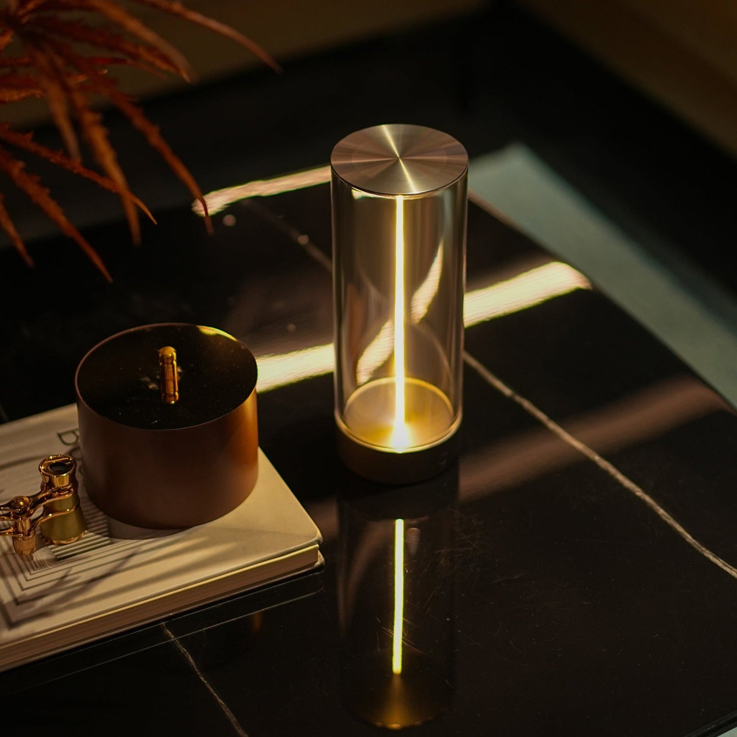 Glass cylindrical lamp with metallic top on a dark surface with a plant in the background