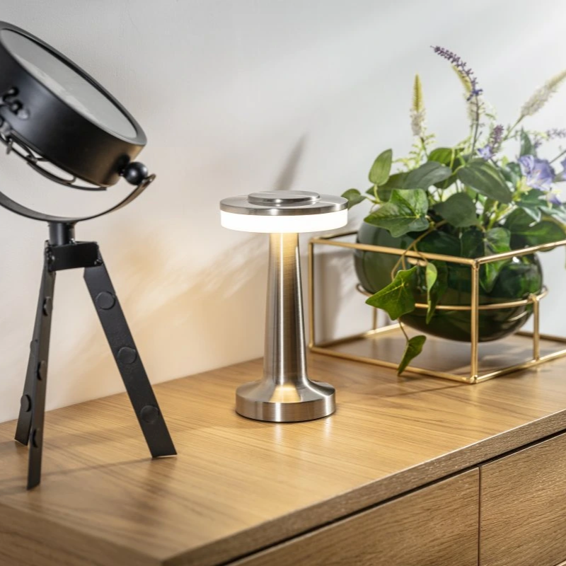 Modern desk setup with a black lamp, silver lamp, and potted plant on a wooden surface.