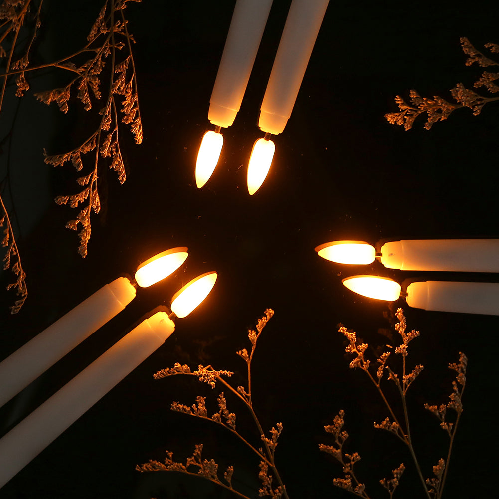 Candle lights with a dark background and dried plants