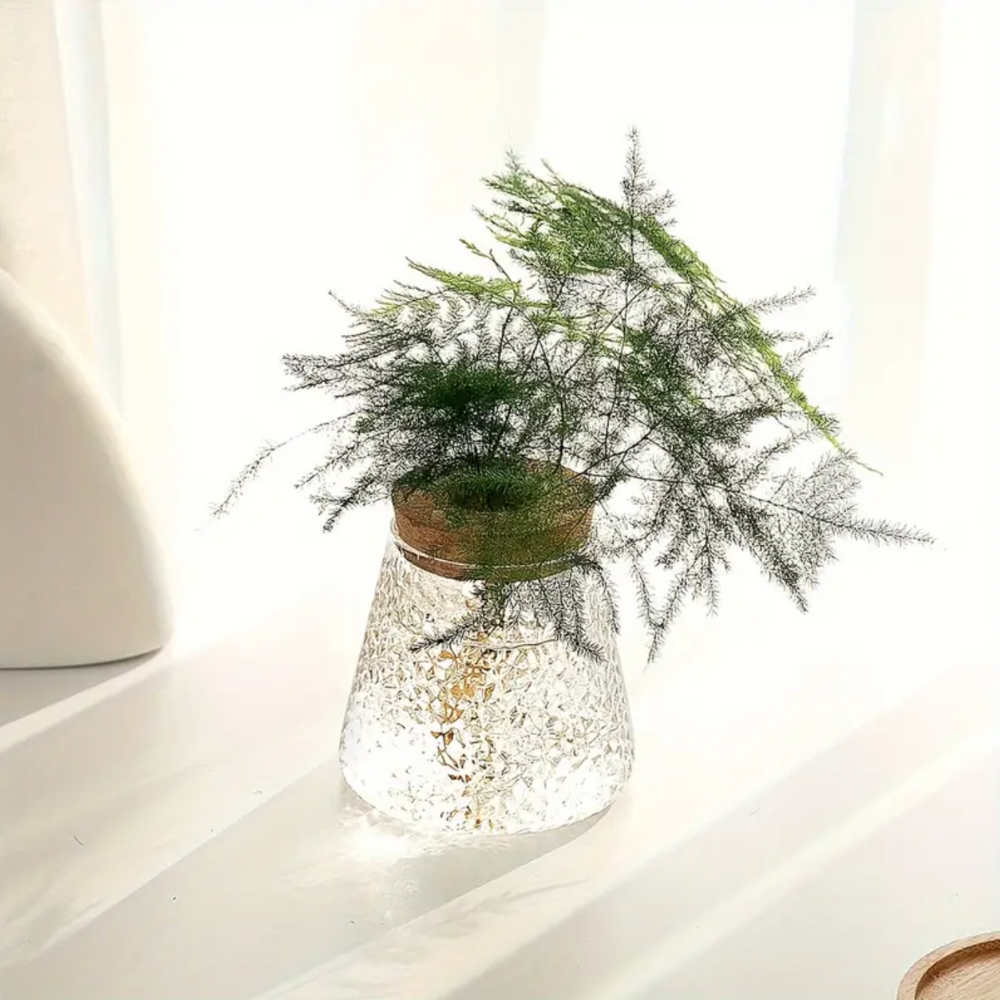 Hydroponic Plant Glass Vase