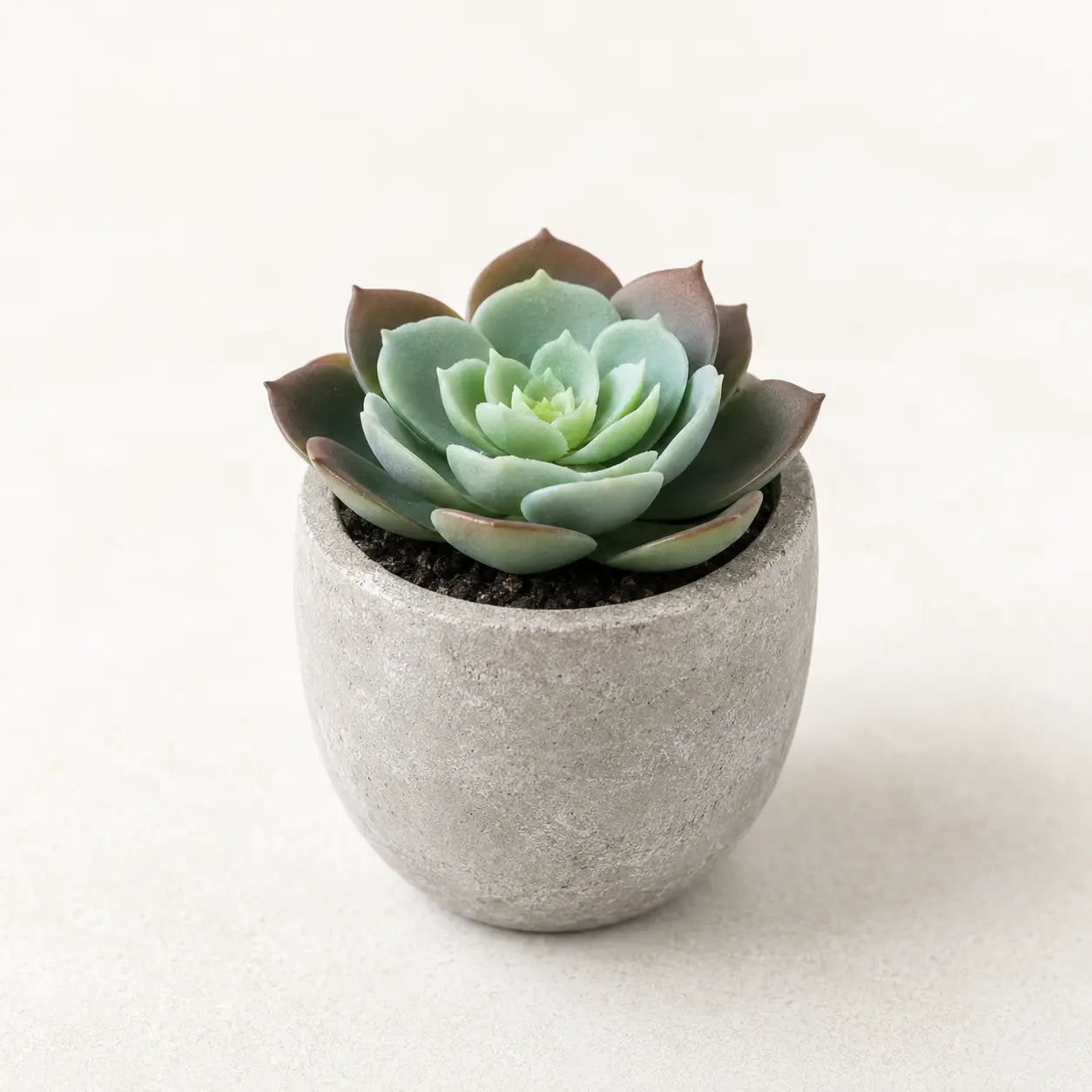 StoneLeaf Mini Artificial Potted Plant
