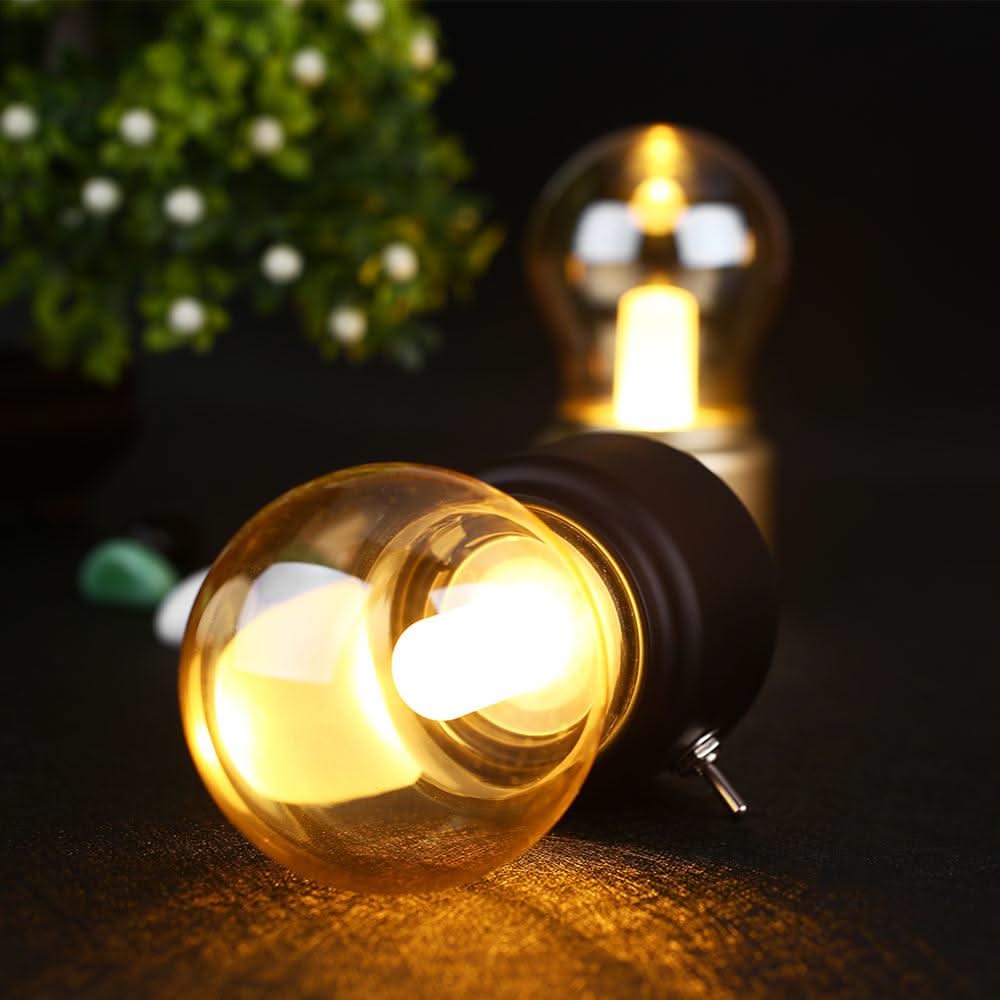 Two illuminated light bulbs on a dark surface with a blurred plant in the background