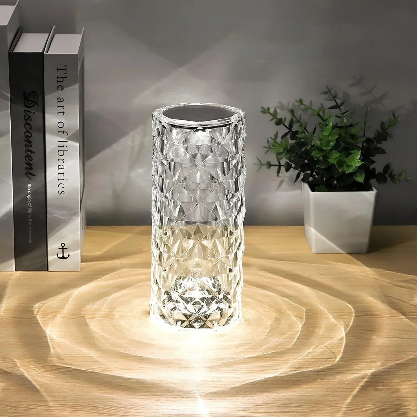 Crystal-like lamp on a wooden surface with a plant and books in the background