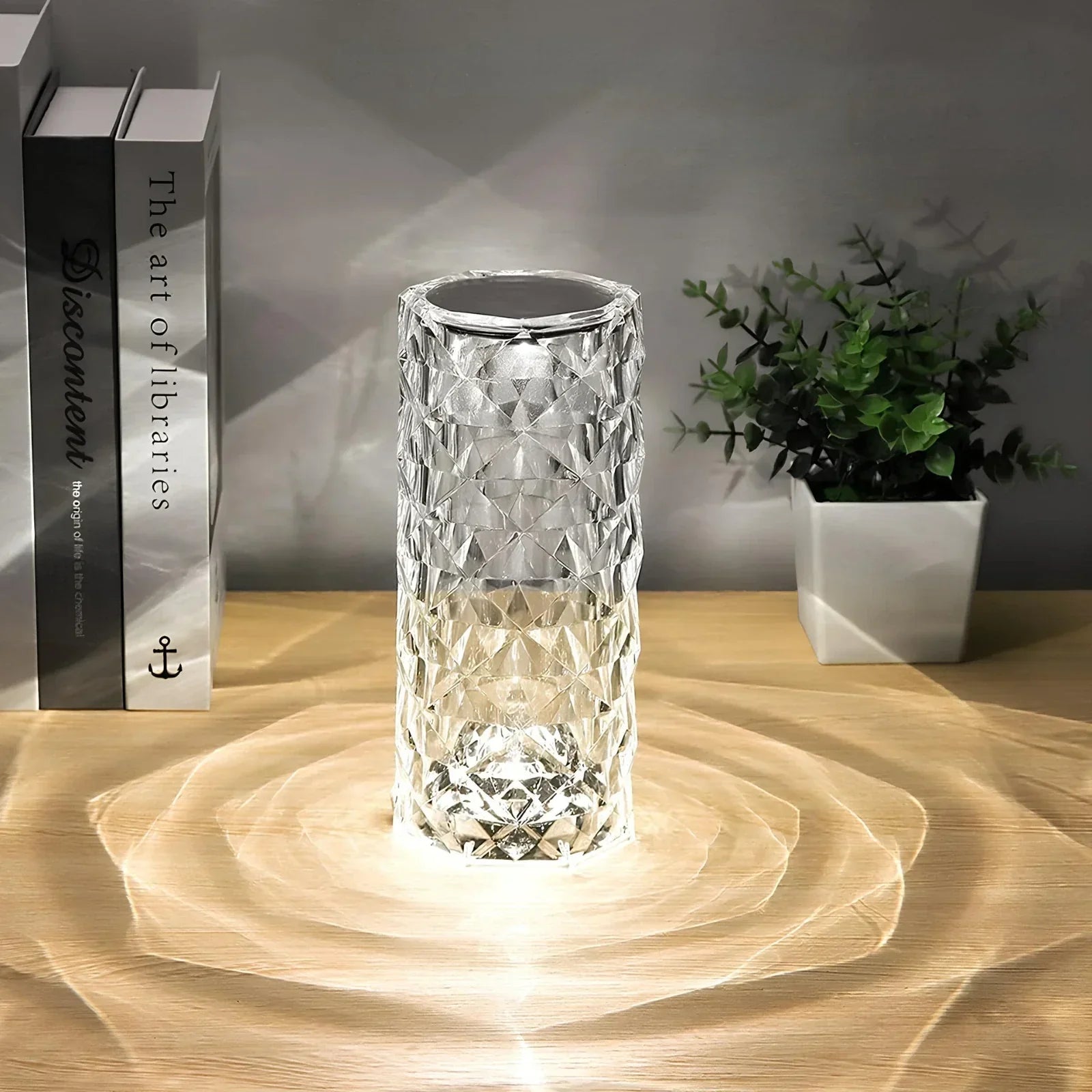 Crystal-like lamp on a wooden surface with a plant and books in the background