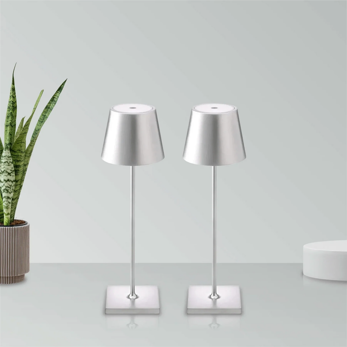 Two silver table lamps on a white surface with a plant in the background