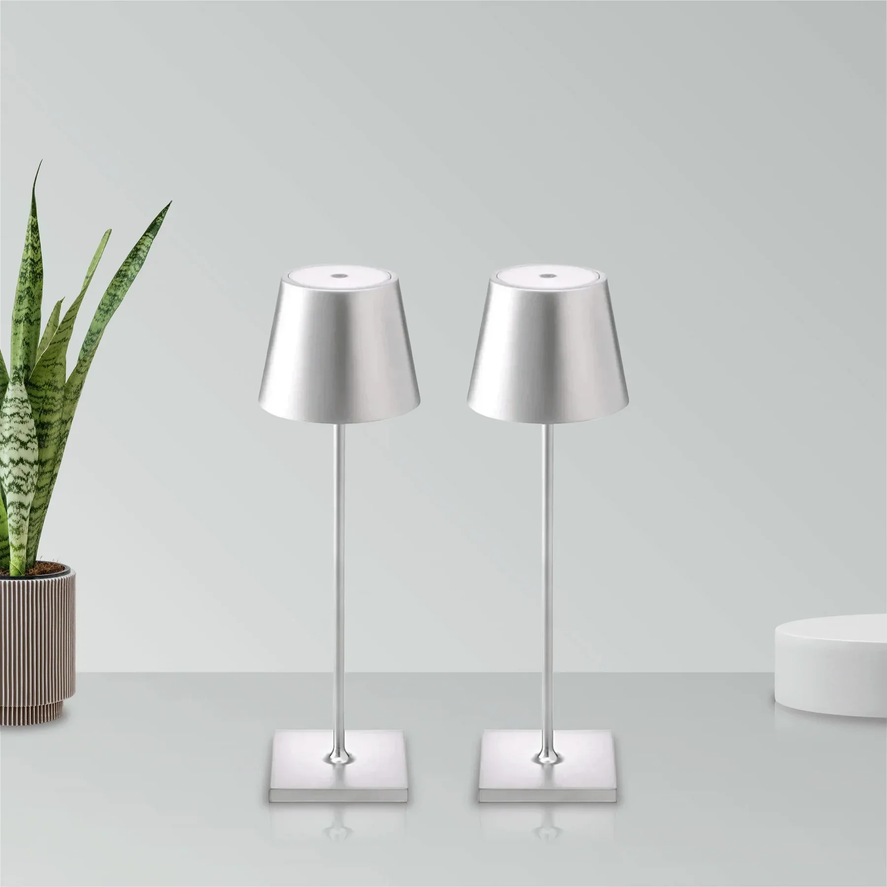 Two silver table lamps on a white surface with a plant in the background