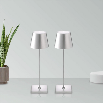 Two silver table lamps on a white surface with a plant in the background