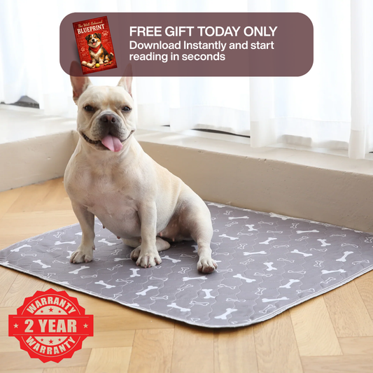 Dog sitting on a mat with promotional text overlay