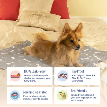 Dog lying on a bed with a gray blanket featuring bone patterns, surrounded by promotional text about product features.