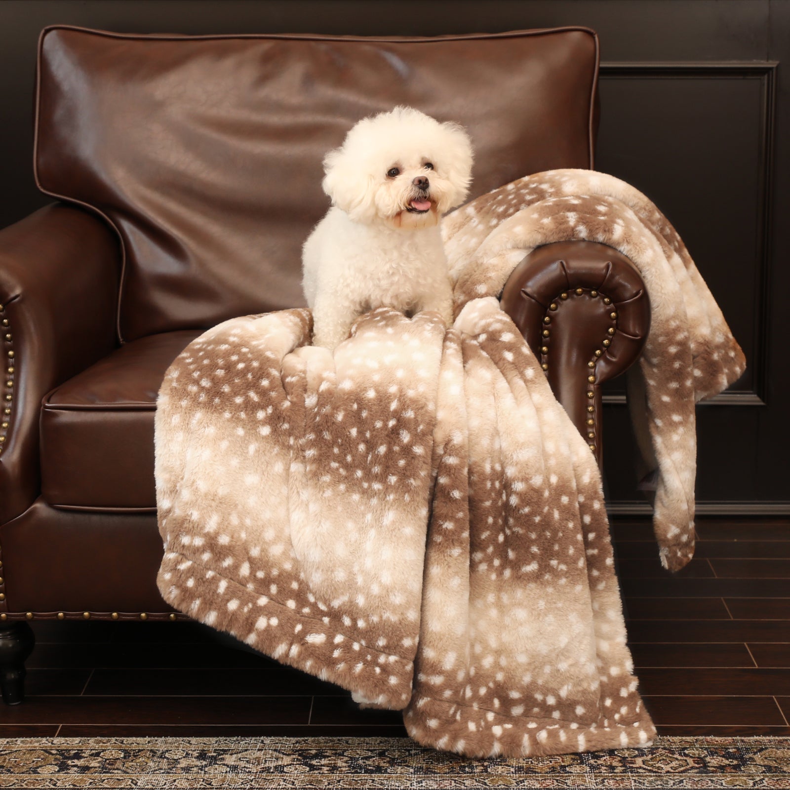Small white dog sitting on a brown leather chair with a matching blanket
