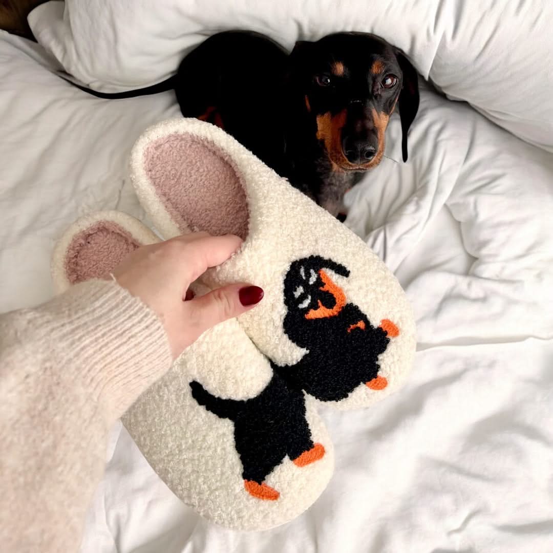 Person holding a plush toy with a dog in the background