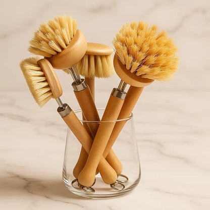 Set of four wooden dish brushes with natural bristles in a clear glass holder on a neutral background