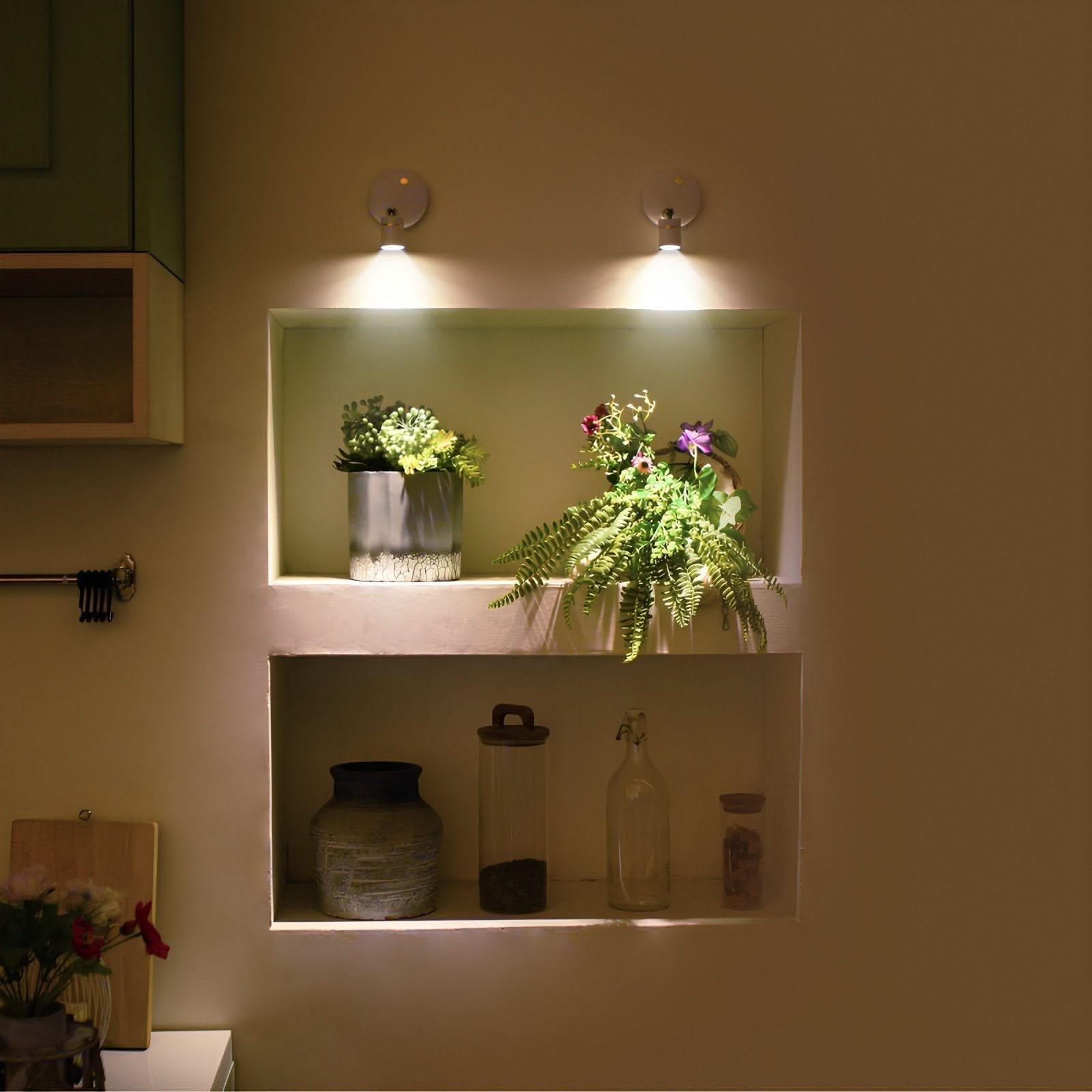 Shelving unit with plants and decorative items in a softly lit room.
