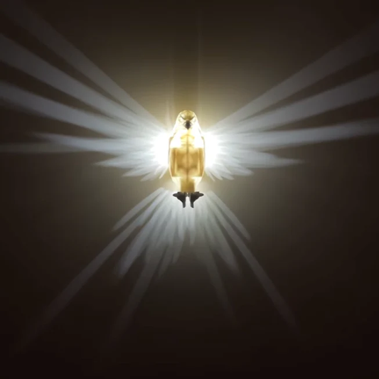 Light bulb with rays of light on a dark background