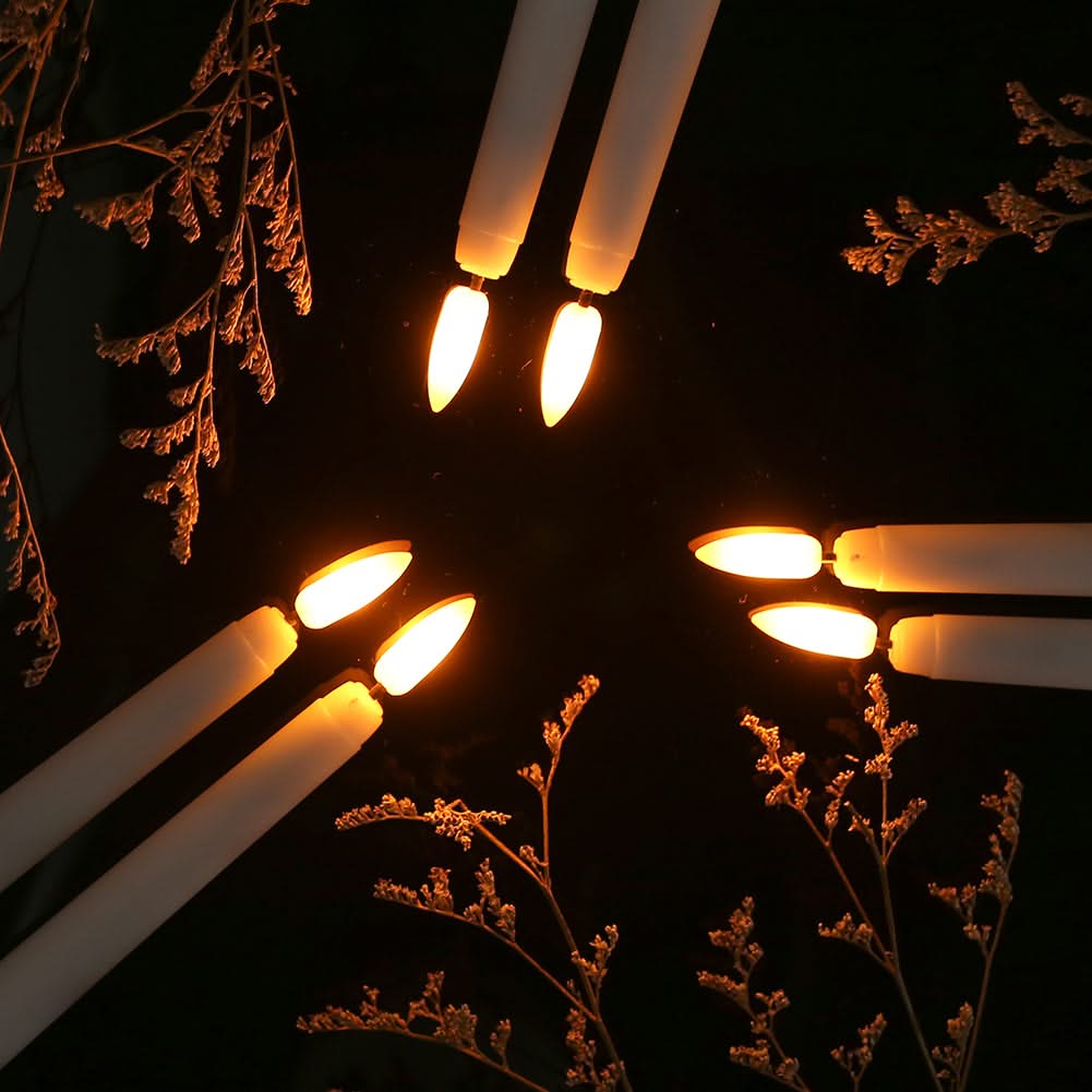 Candle lights with a dark background and dried plants
