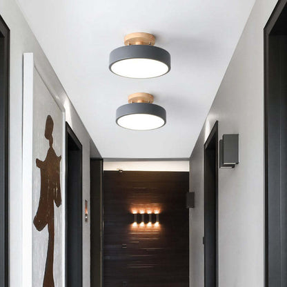 Modern ceiling lights in a hallway with a dark door and wall art.