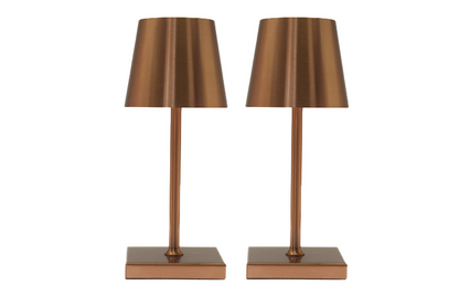 Two bronze table lamps on a white background