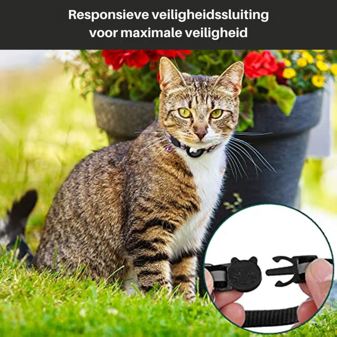 Cat wearing a collar with a close-up of the collar mechanism on grass with flowers in the background.
