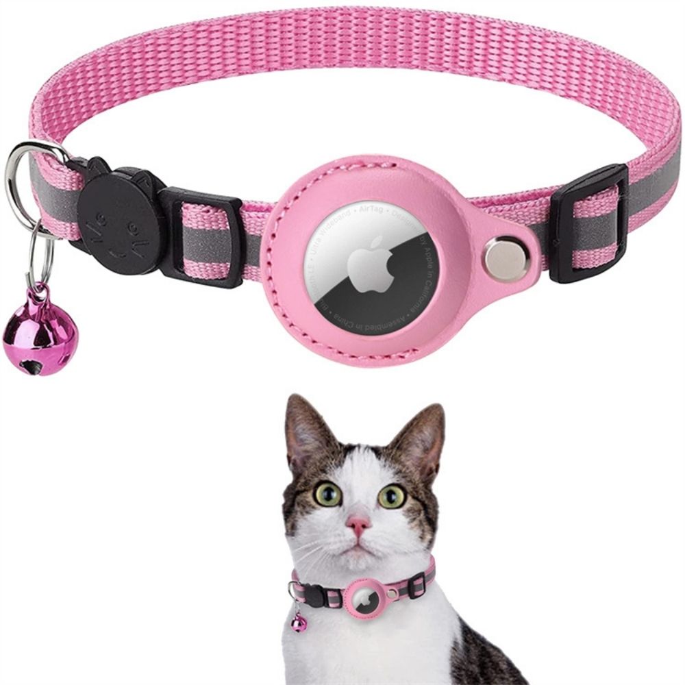 Pink and gray pet collar with a bell on a white background, featuring a cat wearing the collar.