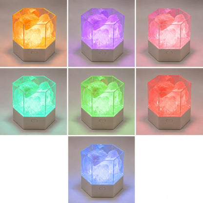 PrismRock™ Hexagon Salt Lamp