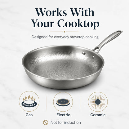 Titan Premium Titanium Pan