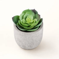 Garden Rosette