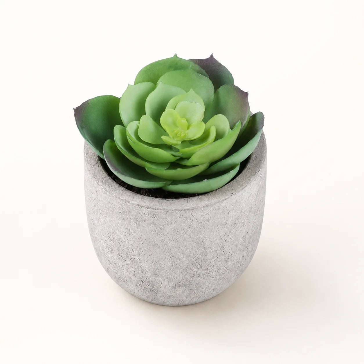 StoneLeaf Mini Artificial Potted Plant
