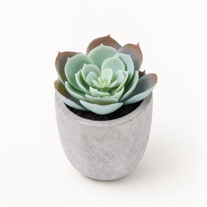 StoneLeaf Mini Artificial Potted Plant