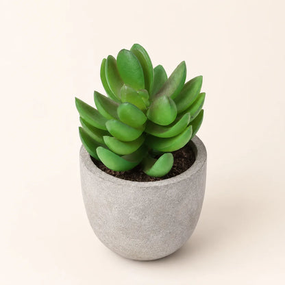 StoneLeaf Mini Artificial Potted Plant