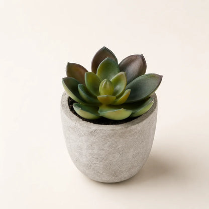 StoneLeaf Mini Artificial Potted Plant