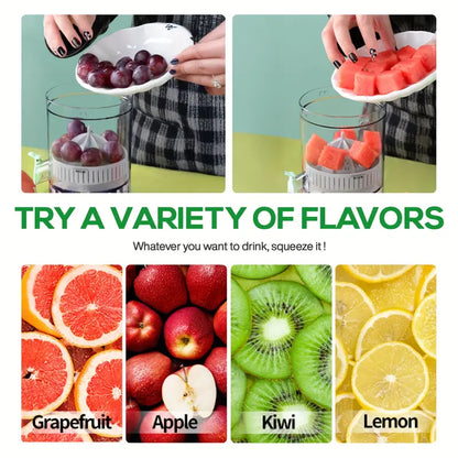 TwistGo Smoothie Blender