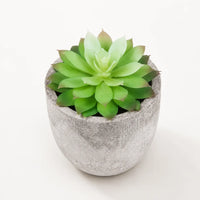 Mint Rosette