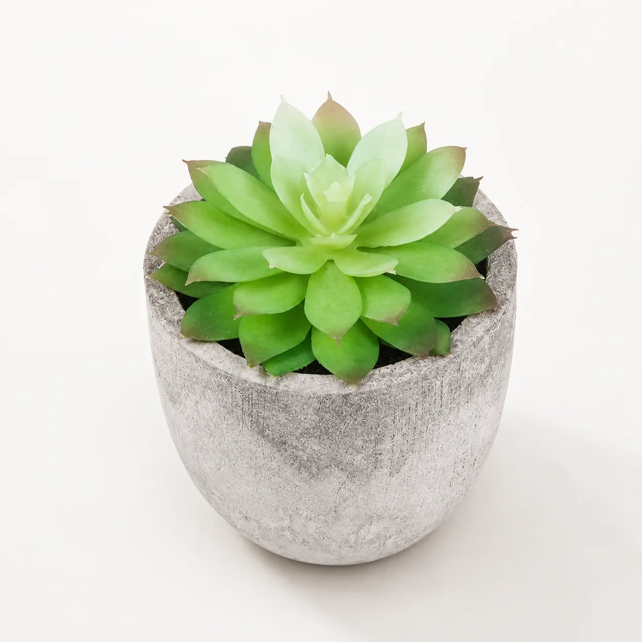 StoneLeaf Mini Artificial Potted Plant
