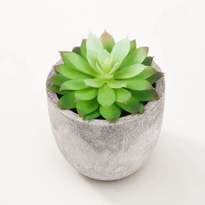StoneLeaf Mini Artificial Potted Plant